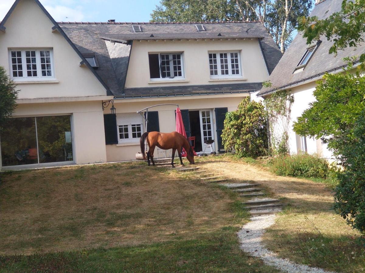 Verrieres-en-Anjou La Fantasia Bed & Breakfast エクステリア 写真